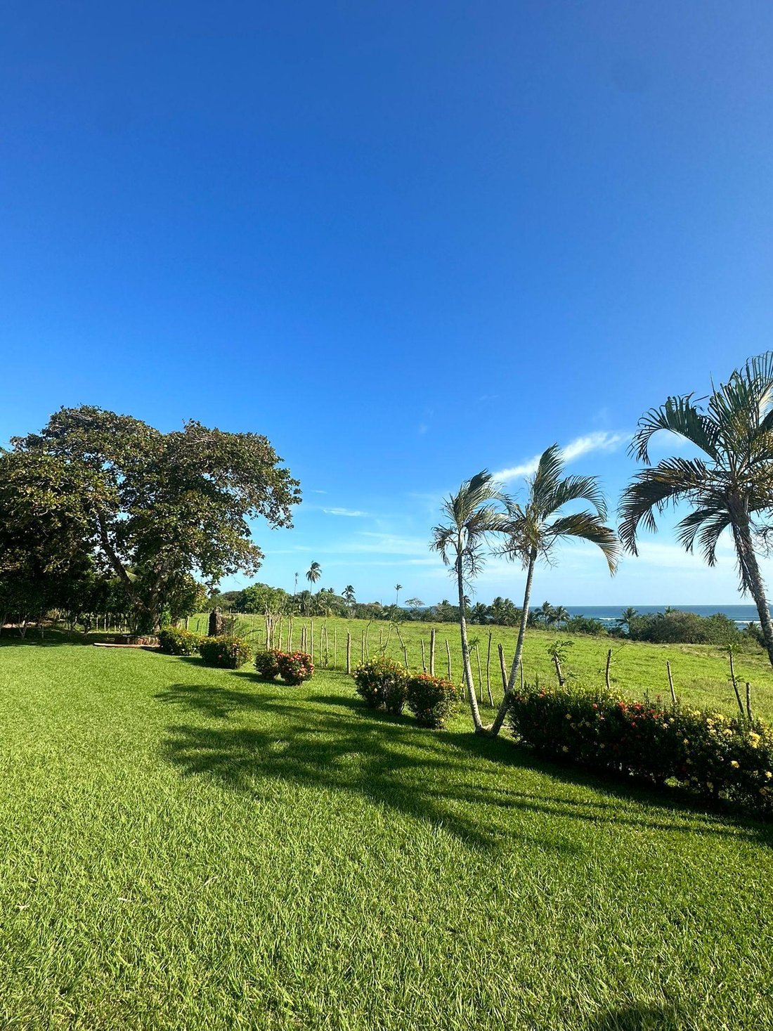 Land in Pedasi, Los Santos Province, Panama 2 - 16090360