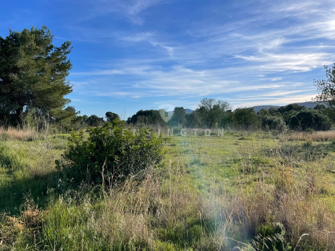 Land in Sant Carles de Peralta, Santa Eularia des Riu, Balearic Islands 4 - 15827784