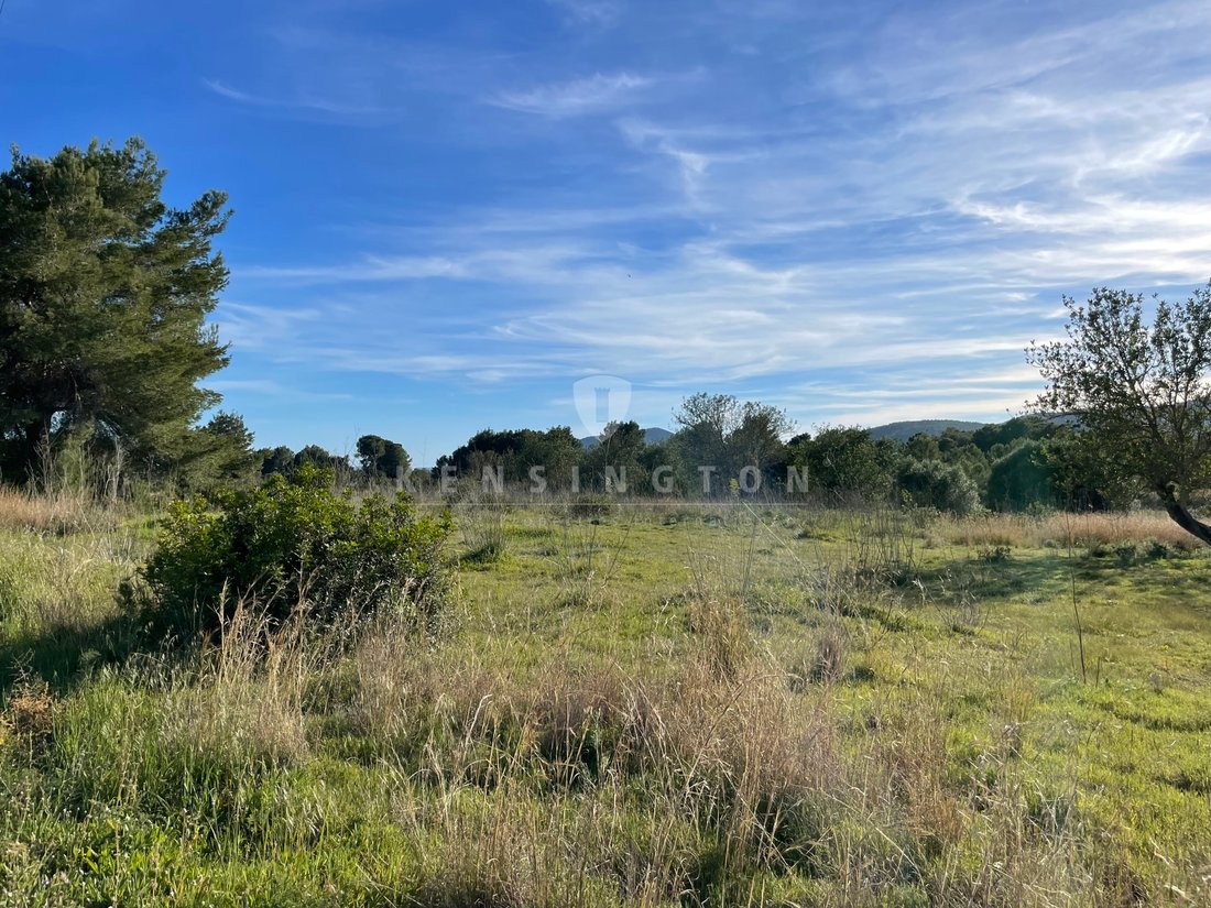 Land in Sant Carles de Peralta, Santa Eularia des Riu, Balearic Islands 5 - 15827784