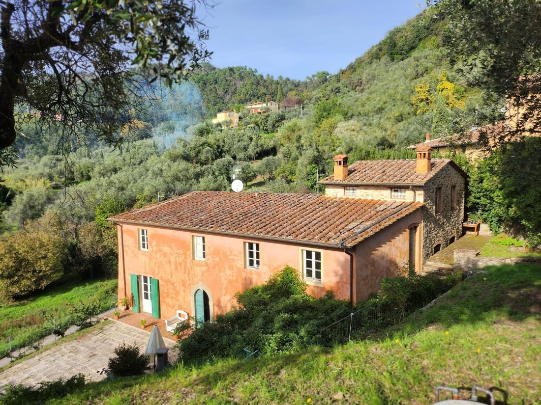 Area Monte San Quirico - Sant'Alessio, Lucca, Tuscany 2 - 16085139