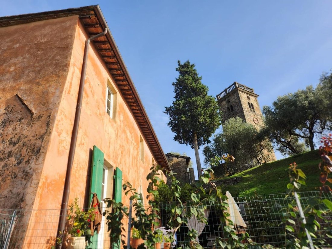 Area Monte San Quirico - Sant'Alessio, Lucca, Tuscany 3 - 16085139