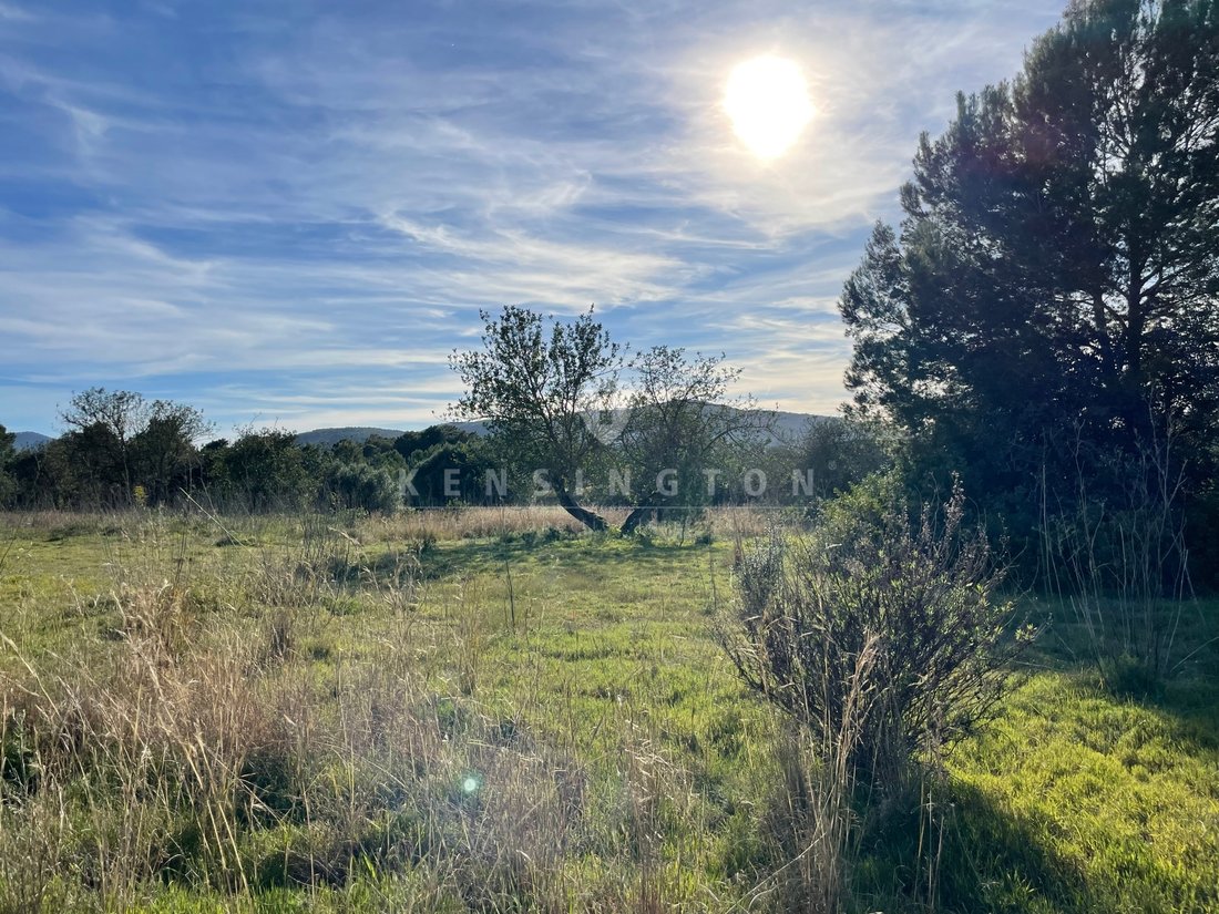 Land in Sant Carles de Peralta, Santa Eularia des Riu, Balearic Islands 1 - 15827784