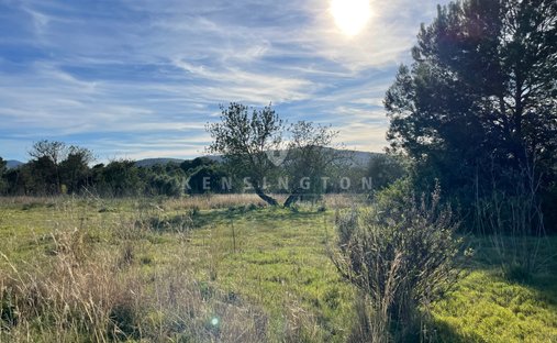 Terreno a Sant Carles de Peralta, Santa Eulària des Riu, Isole Baleari 1