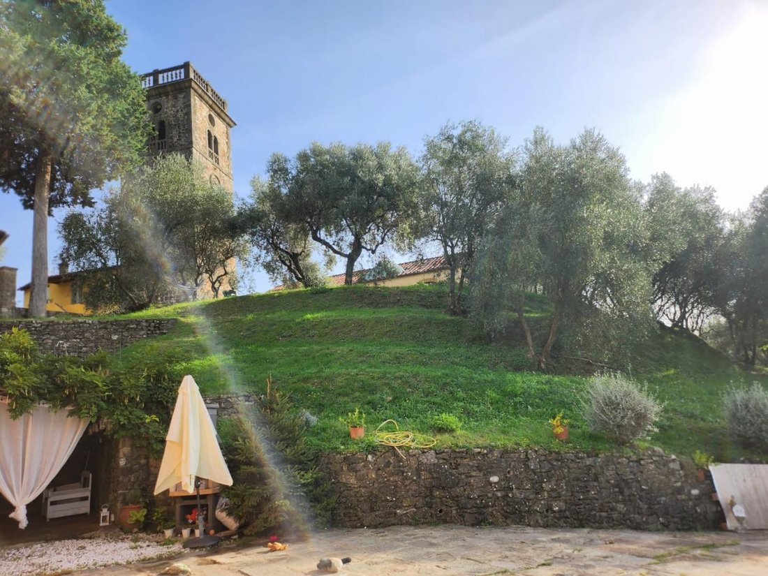 Area Monte San Quirico - Sant'Alessio, Lucca, Tuscany 4 - 16085139