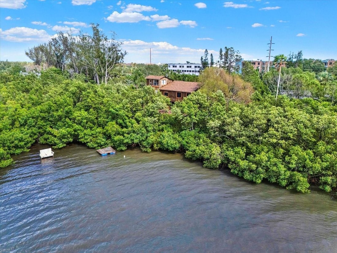House in St. Petersburg, Florida, United States 5 - 16085518