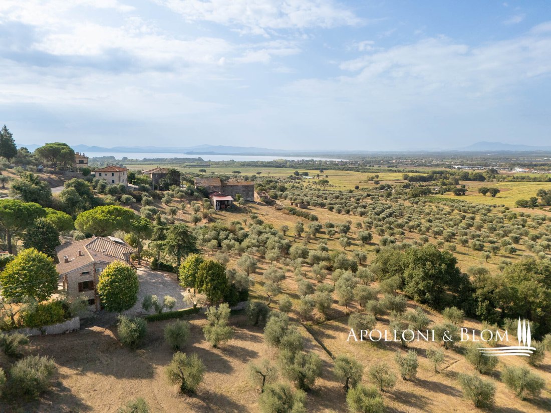 Villa in Center, Cortona, Tuscany 4 - 14688219