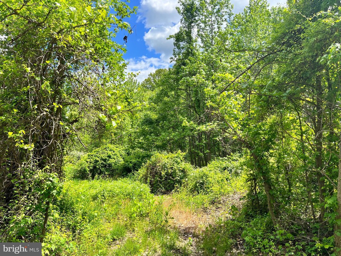 Land in Lorton, Virginia, United States 2 - 16089867