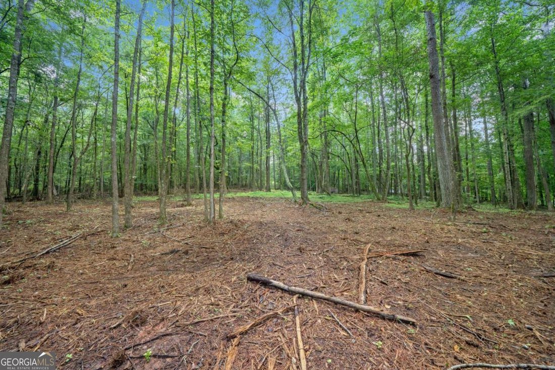 Land in Alpharetta, Georgia, United States 3 - 16085395