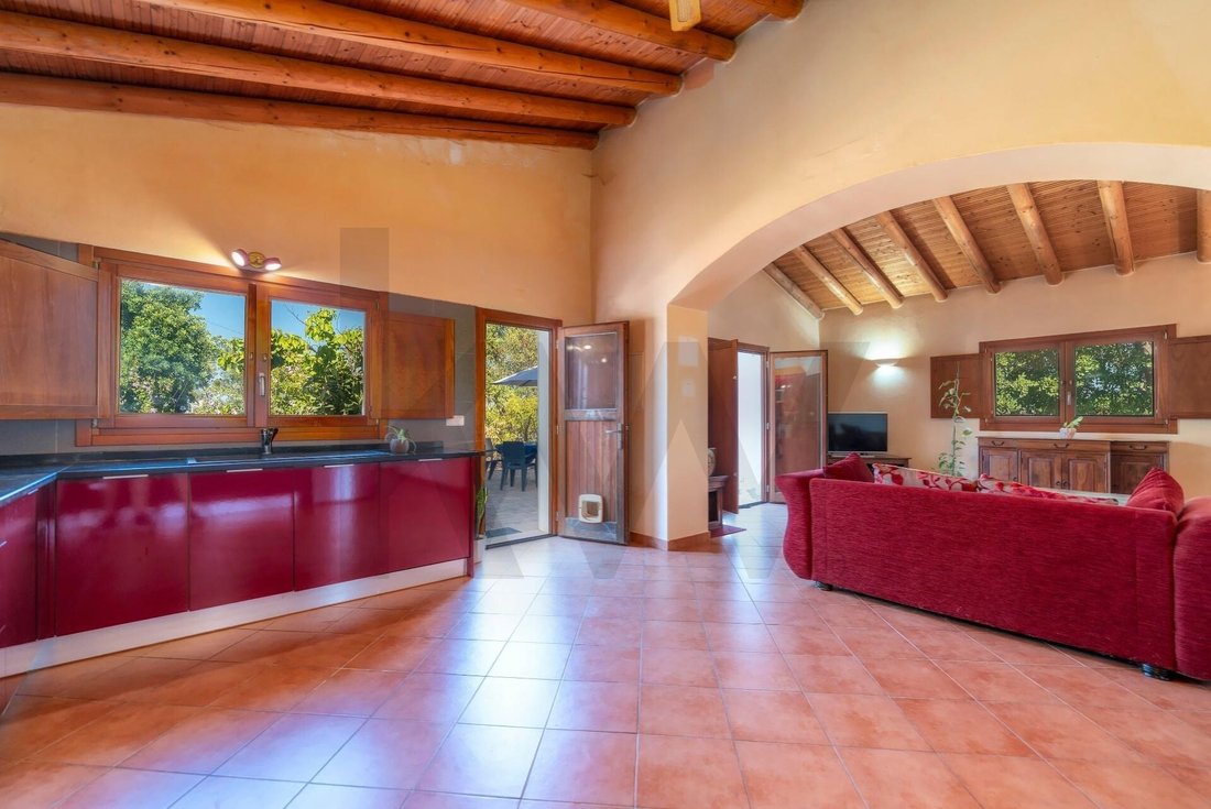 Townhouse in Sao Bras de Alportel, Algarve, Portugal 3 - 16086767