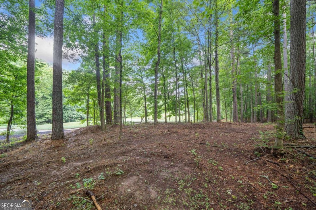 Land in Alpharetta, Georgia, United States 5 - 16090328
