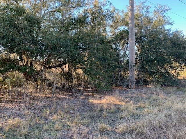 Land in Lake Wales, Florida, United States 2 - 16090389