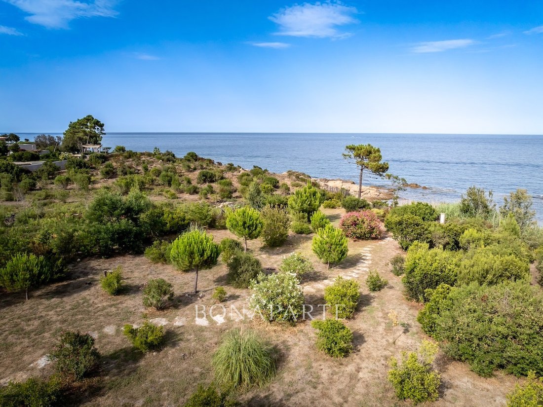 Whispers of the Corsican Sea: A Villa Kissed by Sun and Sand