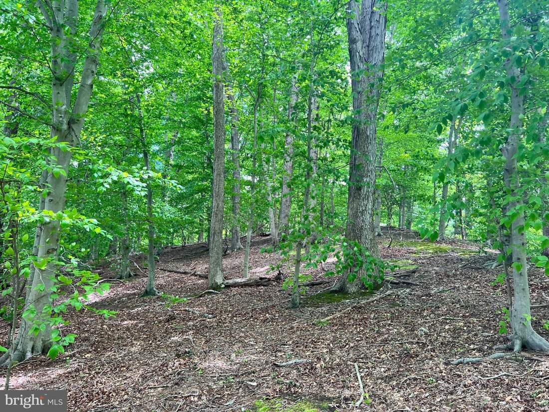 Land in Lorton, Virginia, United States 3 - 16089867