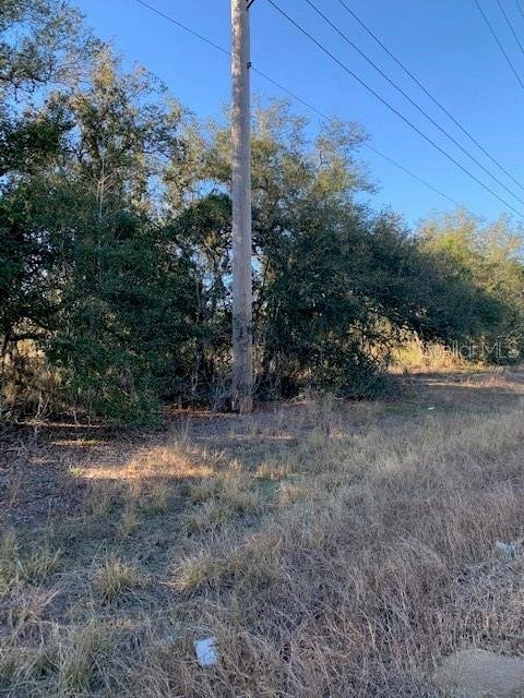 Land in Lake Wales, Florida, United States 5 - 16090389