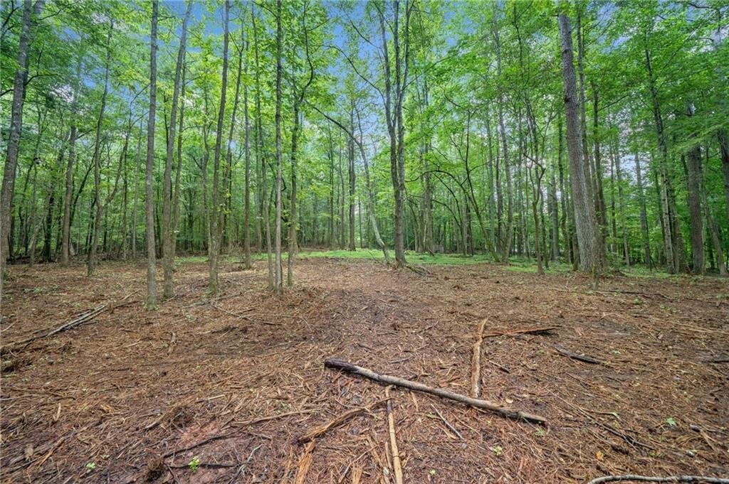 Land in Milton, United States 3 - 16085384