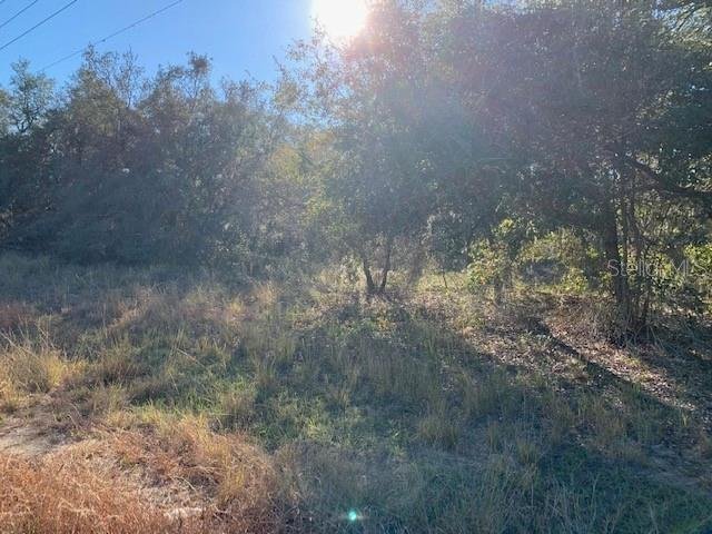Land in Lake Wales, Florida, United States 4 - 16090389