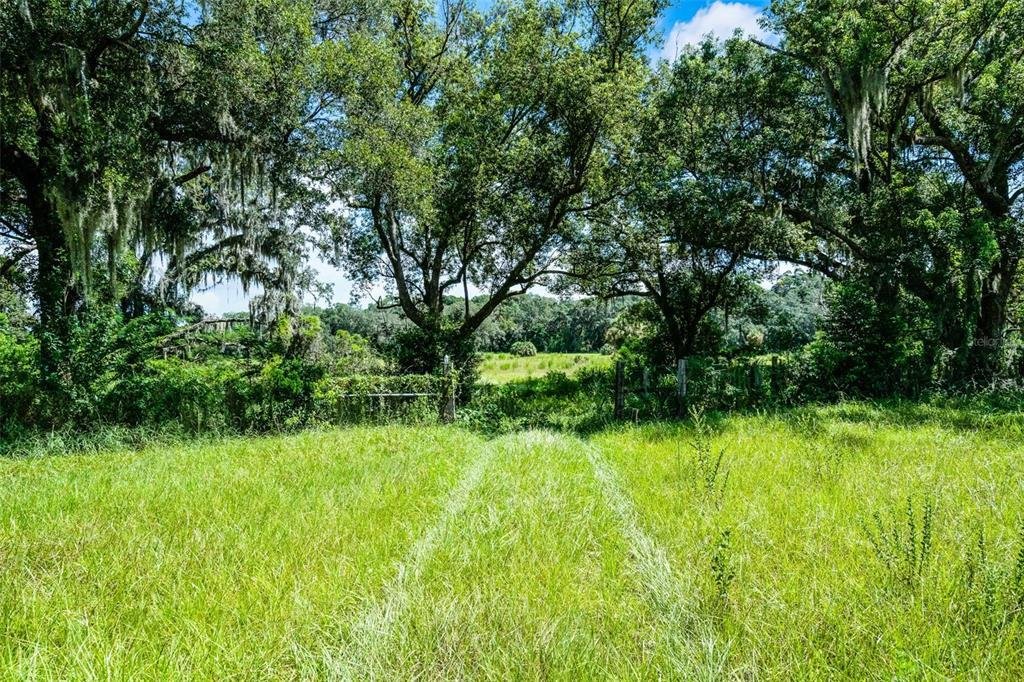 House in Orlando, Florida, United States 2 - 16090224