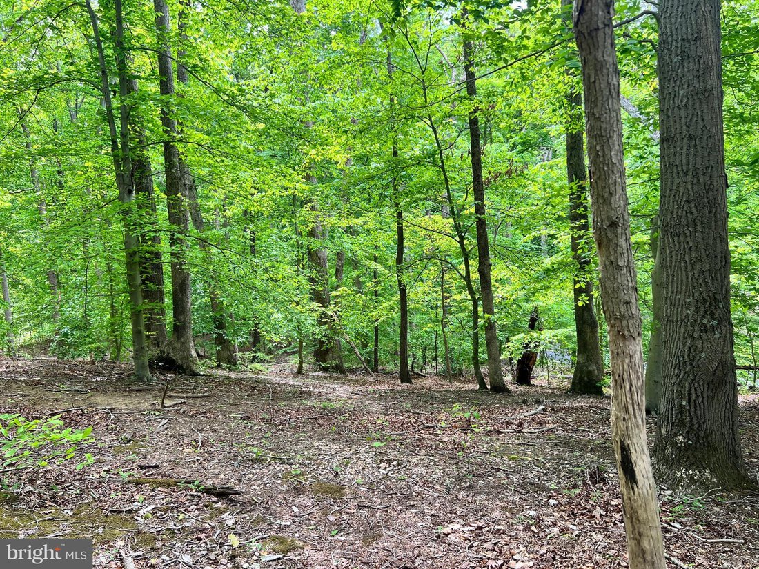 Land in Lorton, Virginia, United States 4 - 16089867