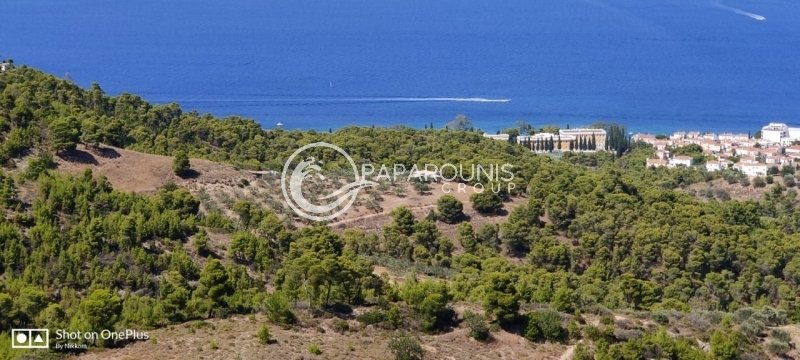 Land in Spetses, Attica, Greece 4 - 16086633