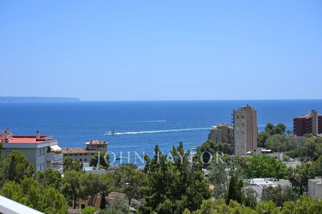 Apartment in Palma, Balearic Islands, Spain 1 - 16083930