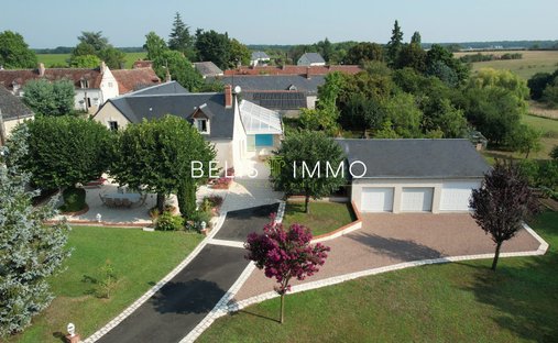 Villa in La Croix-en-Touraine, Centre-Val de Loire, France 1