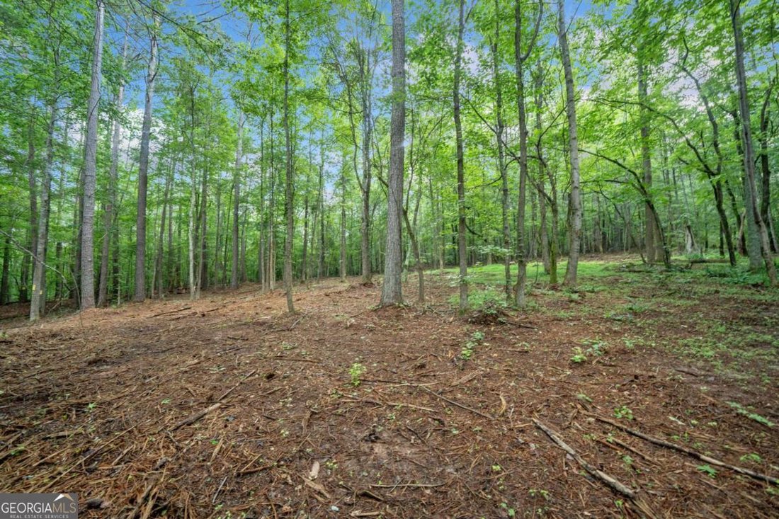 Land in Alpharetta, Georgia, United States 4 - 16085392