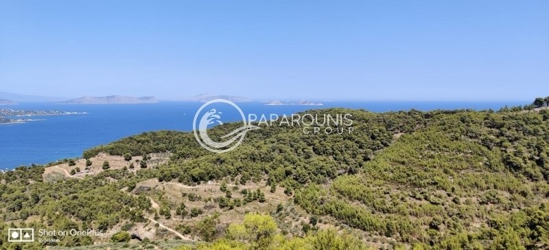 Land in Spetses, Attica, Greece 3 - 16086633