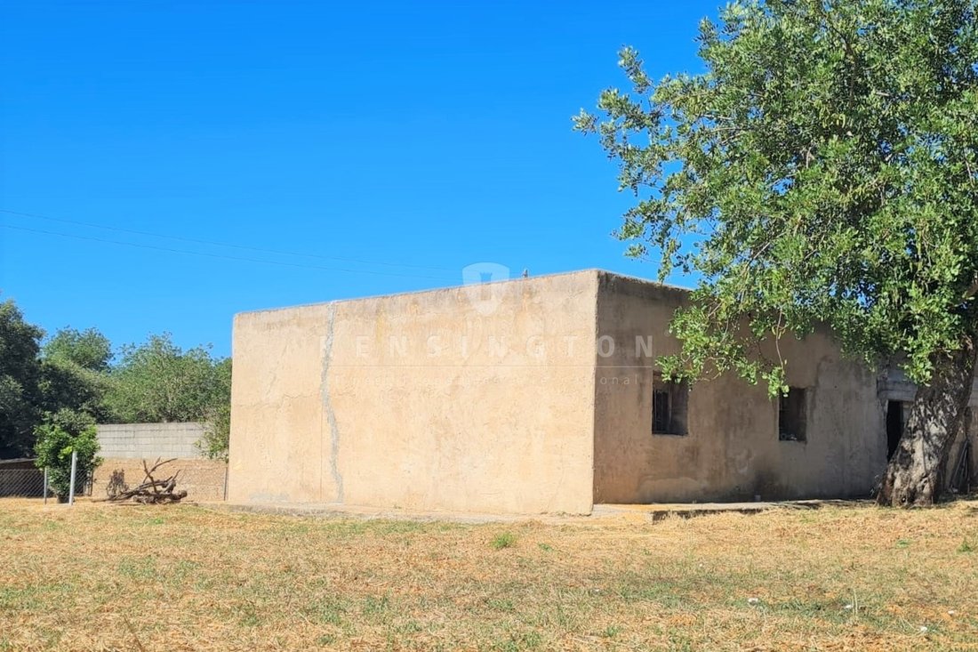 Villa in Sant Joan de Labritja, Balearic Islands, Spain 3 - 15827776