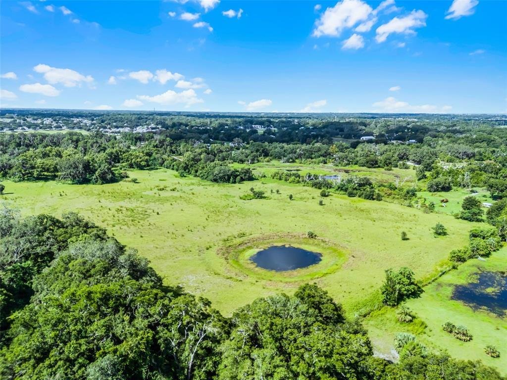 House in Orlando, Florida, United States 5 - 16090224