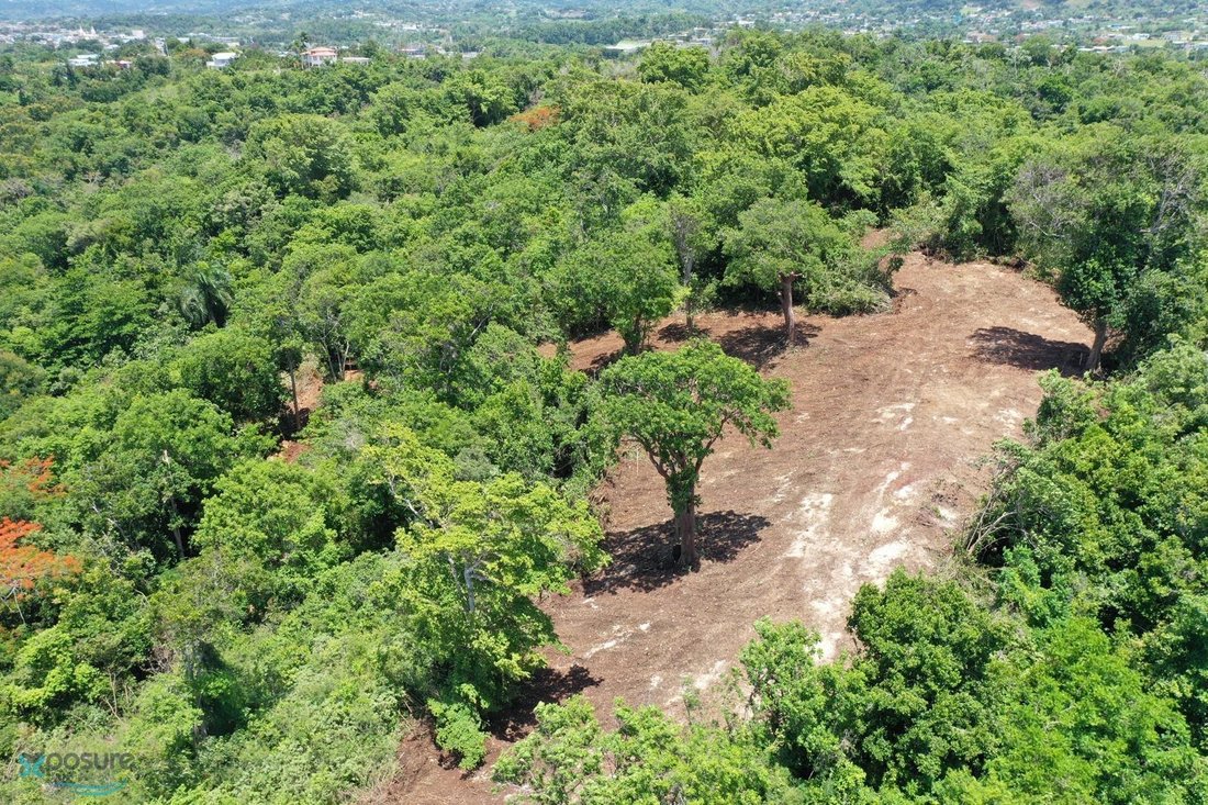 Terrain à Aguada, Aguada, Porto Rico 4 - 16083939