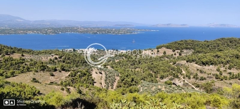 Land in Spetses, Attica, Greece 2 - 16086633