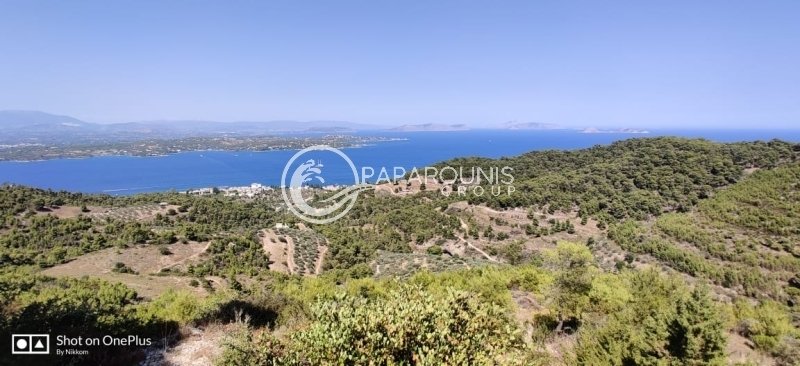 Land in Spetses, Attica, Greece 5 - 16086633