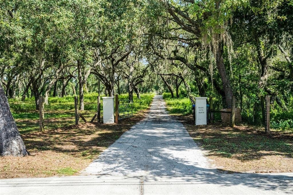 House in Orlando, Florida, United States 2 - 16090222