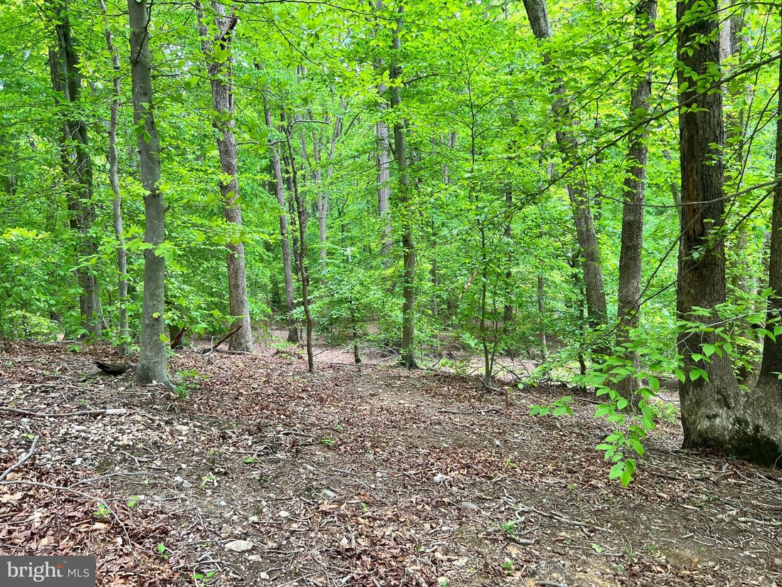 Land in Lorton, Virginia, United States 5 - 16089867