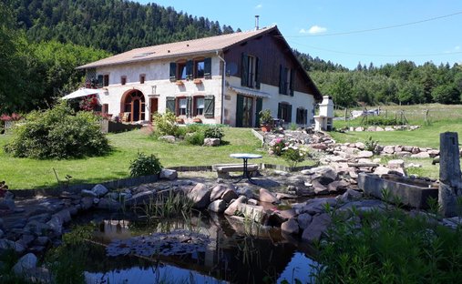 Maison à La Chapelle-devant-Bruyères, Grand Est, France 1