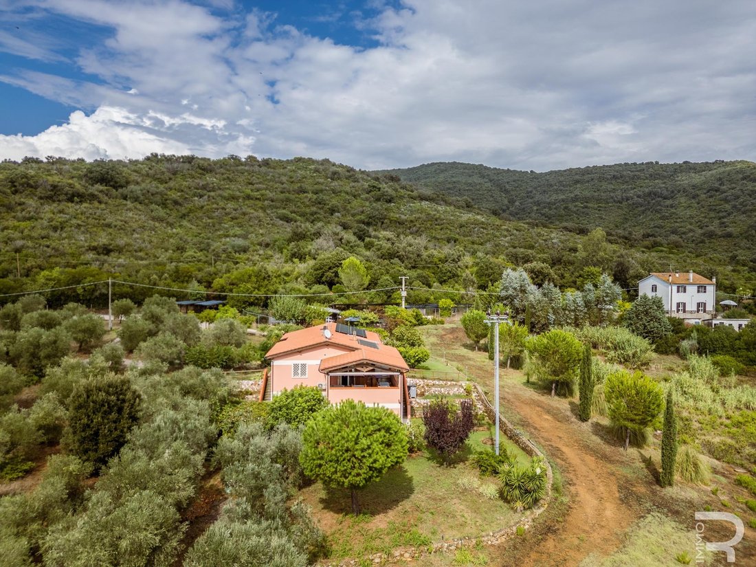 Farm Ranch in Castle of Castiglione, Castiglione della Pescaia, Tuscany 3 - 16090901