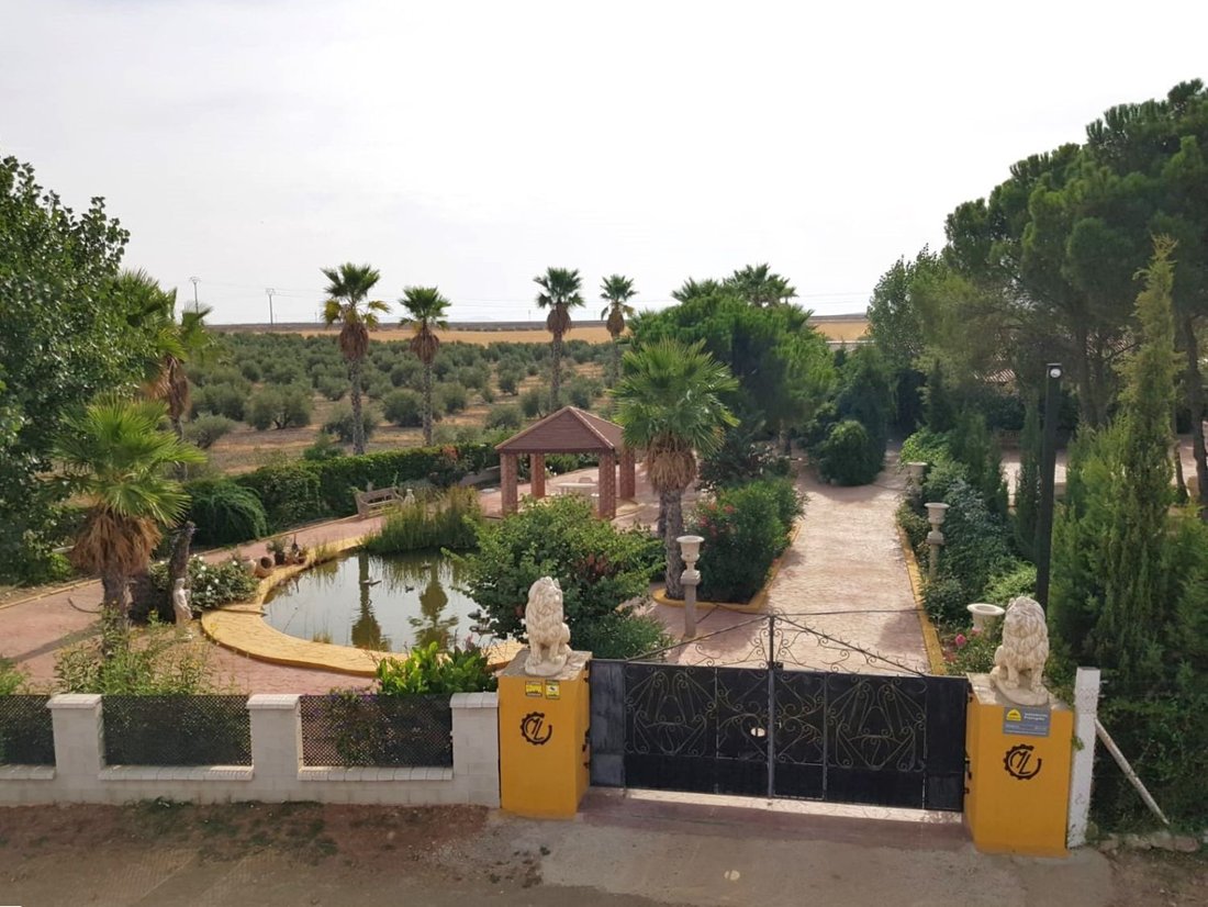 Farm Ranch in Santa Cruz de Mudela, Castile-La Mancha, Spain 1 - 16090859
