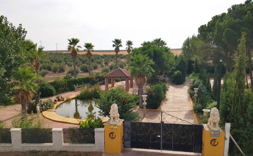 Farm Ranch in Santa Cruz de Mudela, Kastilien-La Mancha, Spanien 1