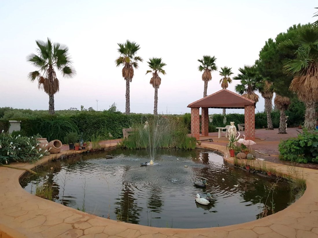 Farm Ranch in Santa Cruz de Mudela, Castile-La Mancha, Spain 5 - 16090859