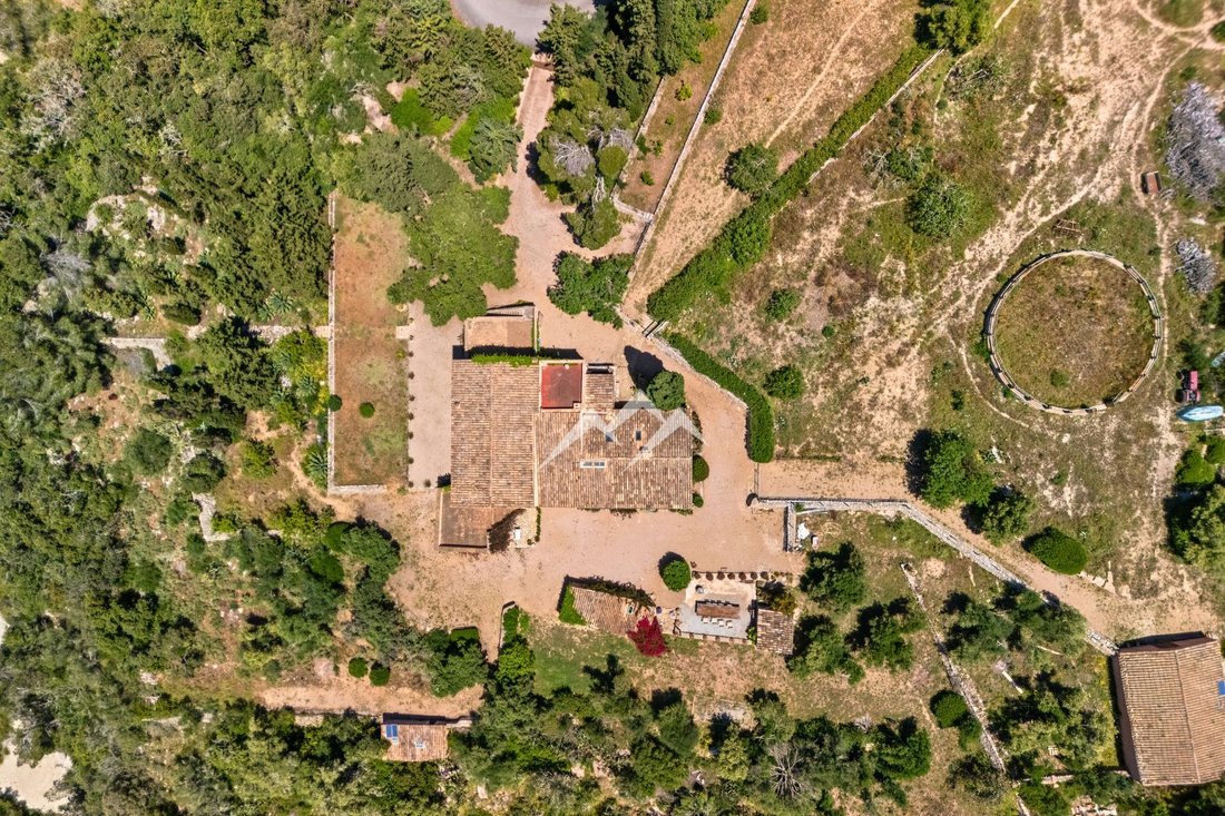 Finca in ses Salines, Balearic Islands, Spain 5 - 16090963