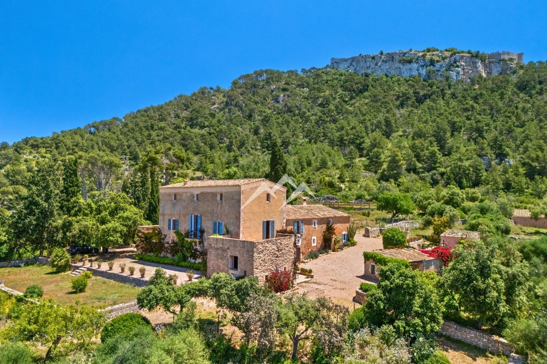 Finca in ses Salines, Balearic Islands, Spain 3 - 16090963