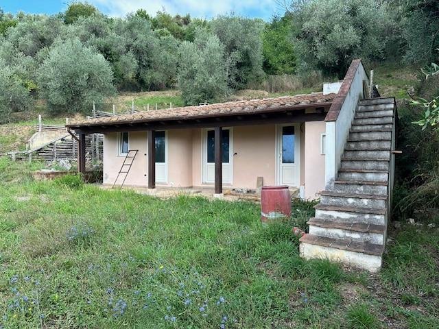 Camaiore, Tuscany, Italy 2 - 16092391