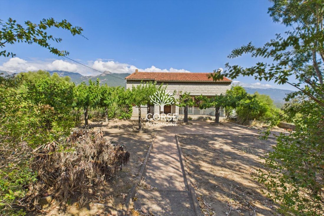 House in Sotta, Corsica, France 4 - 16022720