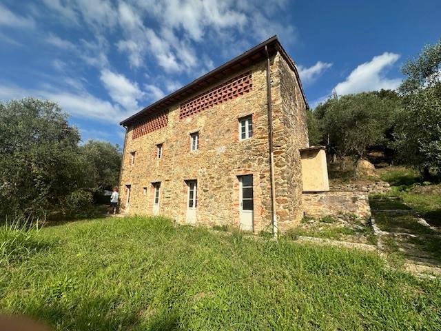 Camaiore, Tuscany, Italy 5 - 16092391