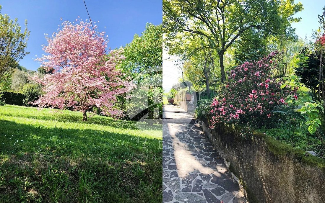 Villa in Historic Center, Lucca, Tuscany 5 - 16079822