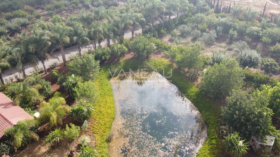 Ben Slimane, Casablanca-Settat, Morocco 5 - 16091593