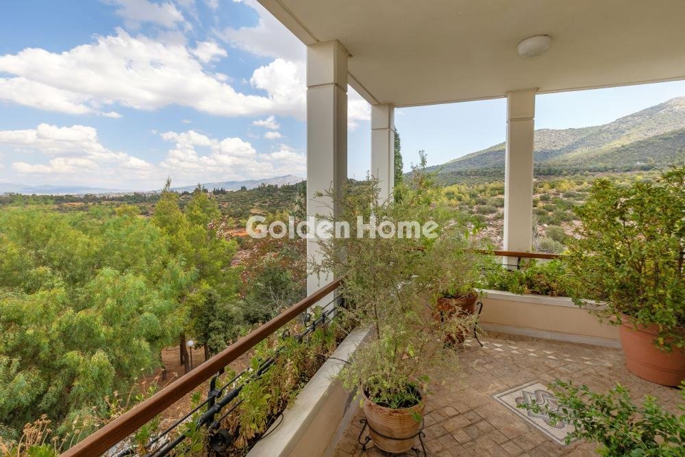 House in Papagou, Attica, Greece 1 - 16091626