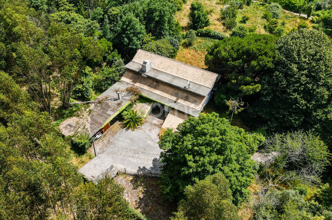 Finca in Figueiro dos Vinhos e Bairradas, Leiria District, Portugal 3 - 16092666