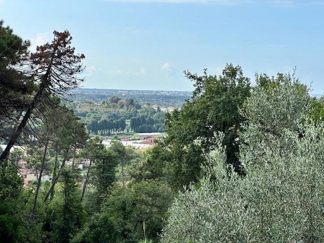 Camaiore, Tuscany, Italy 4 - 16092391