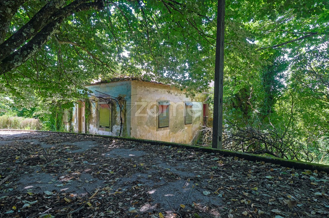 Finca in Figueiro dos Vinhos e Bairradas, Leiria District, Portugal 4 - 16092666